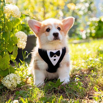 Dog Tuxedo for Wedding Pet Tuxedo Suit with Bow Tie 1Pc