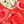 Bee Red