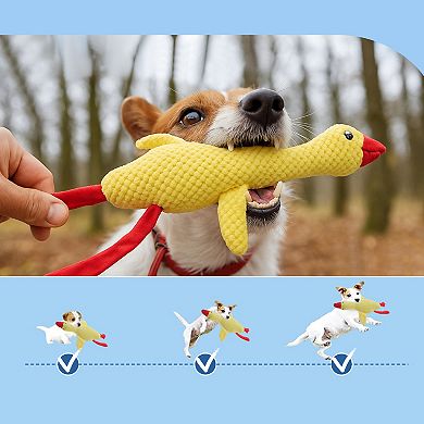 Interactive Dog Toys for Aggressive Chewers Goose 1Pc