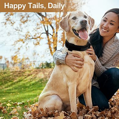 Dog Collar for Large Dogs Adjustable Heavy Duty with Handle Tactical 1Pc