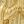 Gold Tone