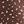 Brown Ditsy