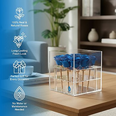 9 Preserved Roses in Acrylic Box: 100% Real Natural Roses