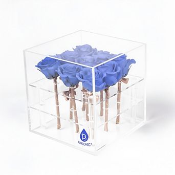9 Preserved Roses in Acrylic Box: 100% Real Natural Roses