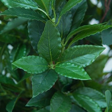 4 ft Artificial Laurel Tree, Triple Ball Topiary Potted Plant with Realistic Moss, UV Resistant