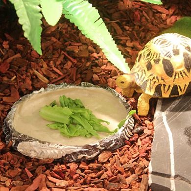 Crawling Amphibian Feeding Terrarium Dish
