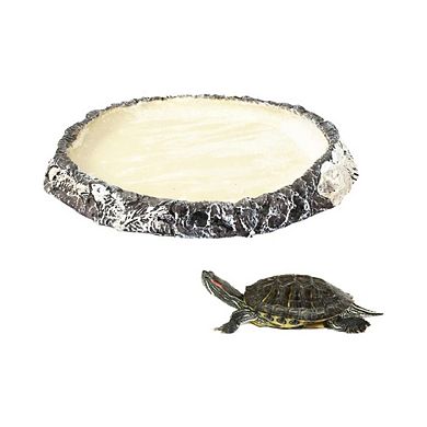 Crawling Amphibian Feeding Terrarium Dish