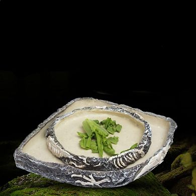Crawling Amphibian Feeding Terrarium Dish