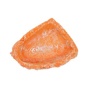 Water and Feeding Terrarium Dish