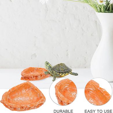 Water and Feeding Terrarium Dish