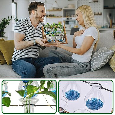 6-Bulb Wooden Tabletop Terrarium Frame