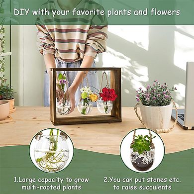 Wooden Terrarium Frame for Hanging Plants