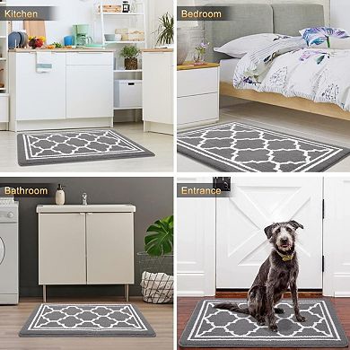 Gray Absorbent Non-Slip Entryway Rug