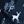 Navy Blue Winter Deer