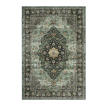 Fashionwu Living Room Print Low Pile Stain Resistant Thin Soft Area Rug for Bedroom Kitchen Laundry