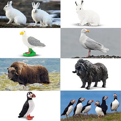 Arctic animal toys and figurines