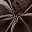 Coffee Color