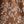 Chocolate Brown Floral