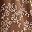 Chocolate Brown Floral