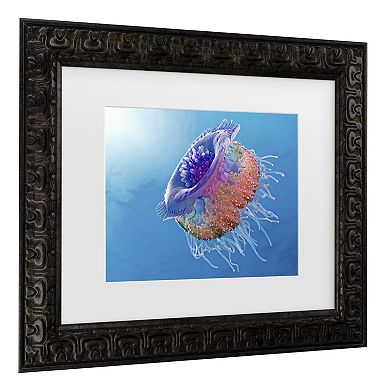 Trademark Fine Art Framed Crown Jellyfish Wall Art