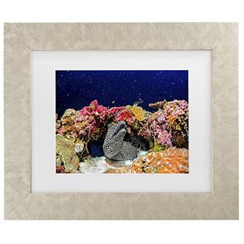 Trademark Fine Art Under The Star Matted Framed Art