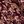 Wine Tilda Paisley