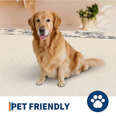 Solid Floral Modern Bordered Washable Area Rug-Non-Slip Low Pile Ultra Thin for Living Room Bedroom