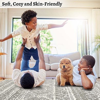 Large Stain-Resistant Low Pile Indoor Carpet, Boho Geometric Floor Mat for Living Room Bedroom