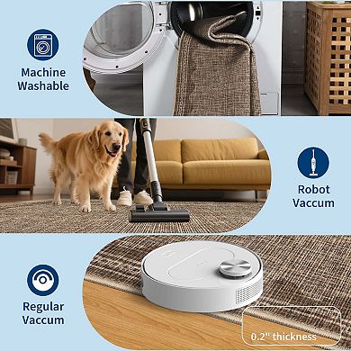 Modern Area Rug Washable Low Pile Non-Slip Solid Carpet with Border for Bedroom Living Room Office