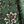 Green Painted Floral