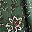 Green Painted Floral