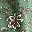 Green Painted Floral