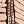 Beige And Brown