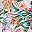 Multicolor Print