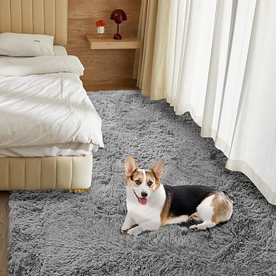 5x8 Soft Shag Area Rug for Bedroom & Living Room, Fluffy Non-Slip Grey