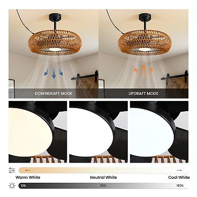 Moooni 24" Indoor/Outdoor Smart Ceiling Fan with Dimmable LED & APP Control