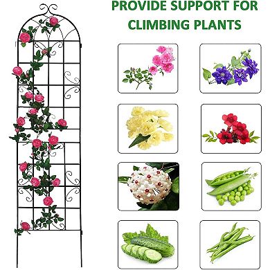 2 Pack Metal Garden Trellis (86.7in x 19.7in)