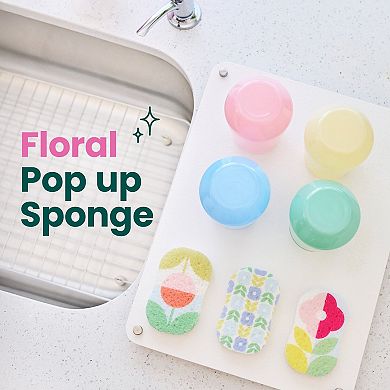 Scotch® Brite Pop Up 3-Pack Expanding Non-Scratch Sponges