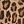 Tan Alice Leopard