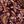 Wine Tilda Paisley