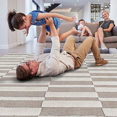 Modern Striped Non-Shedding Area Rug for Living Room, Bedroom and Kitchen