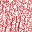 Pink Floral
