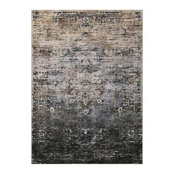 Area Rugs for Living Room, Machine Washable Non-Slip Ombre Vintage Distressed Accent Rug