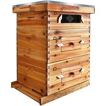 10-Frame Langstroth Beehive Kit with Window, Wax-Coated 2 Deep 1 Medium Supers Ready to Use