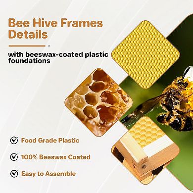 10-Frame Langstroth Beehive Kit with Window, Wax-Coated 2 Deep 1 Medium Supers Ready to Use