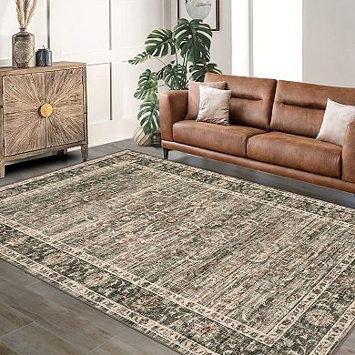 ANIXOL Washable Vintage Persian Style Area Rug