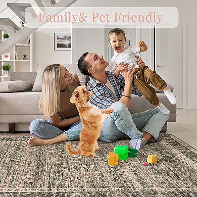 ANIXOL Washable Vintage Persian Style Area Rug