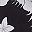 Black White Flower