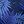 Blue Plam Leaves