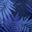 Blue Plam Leaves